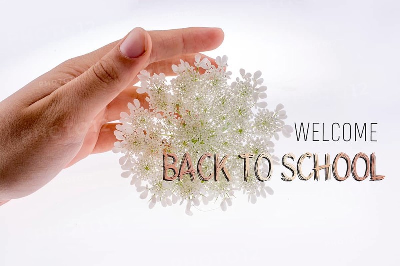 Back to school wording as education