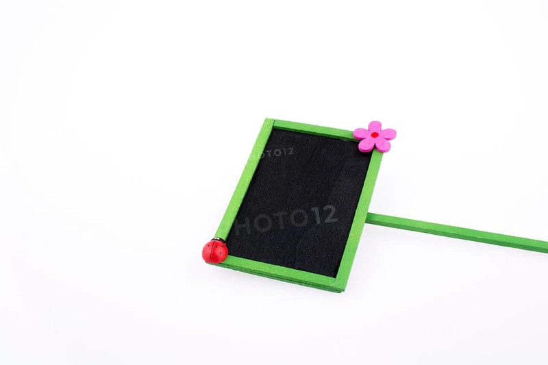 Green framed signboards with a flower and ladybug on a white background