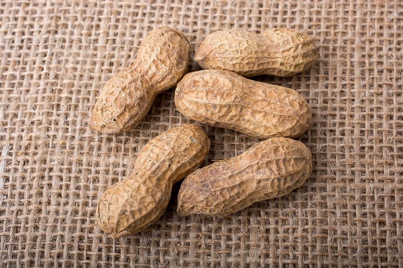 Peanuts with shell on linen canvas background