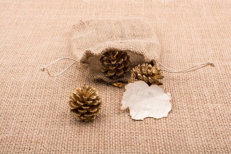 Pine cones out of sack and burnt paperon canvas