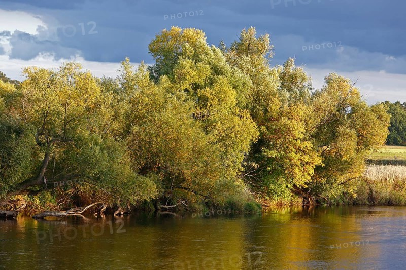 Autumn in the floodplain