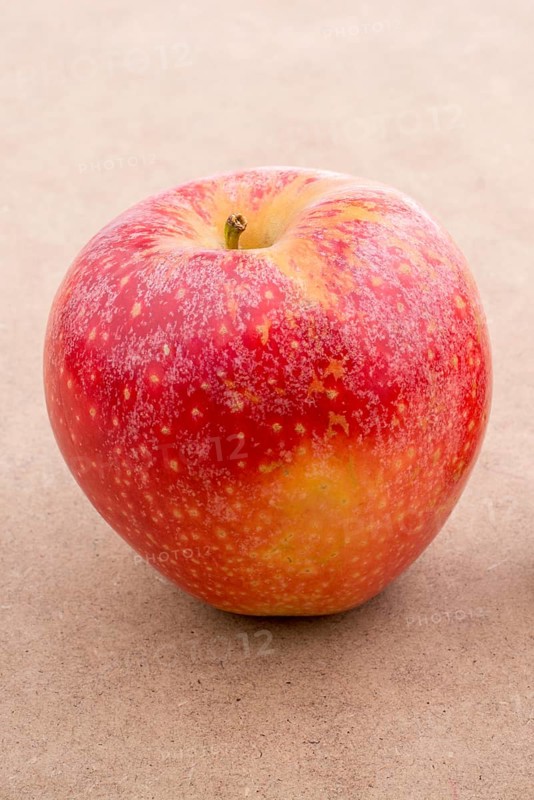 Back to school theme with a red apple
