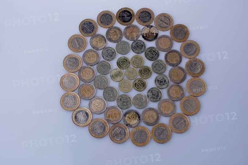 Turkish Lira coins together shape a round circle form on white background