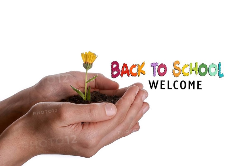 Back to school wording as education