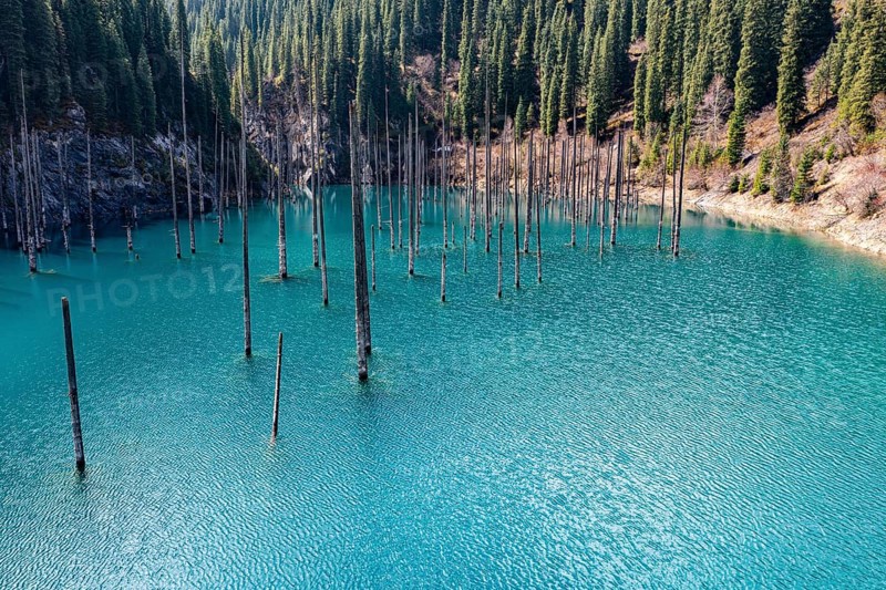 Aerial of the Kaindy lake with its dead trees