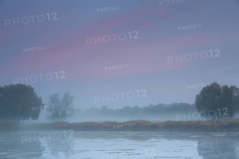 Autumn in the floodplain