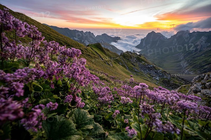View over Saentis mountains into the valley of Meglisalp at sunrise