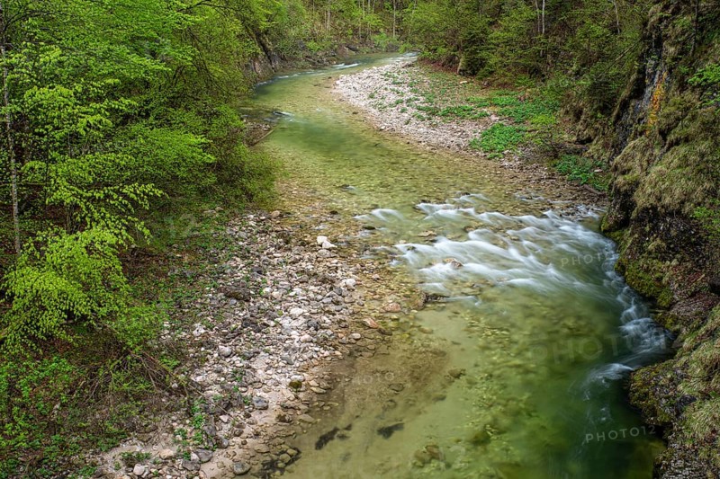 Mountain stream in the UNESCO World Heritage Beech Forest in the Limestone Alps National Park