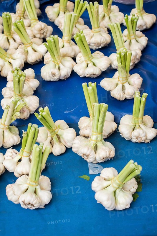 Bunch of garlic bulbs at the market place
