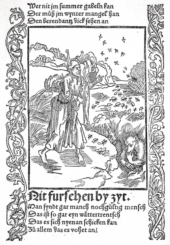 The Ship of Fools by Sebastian Brant