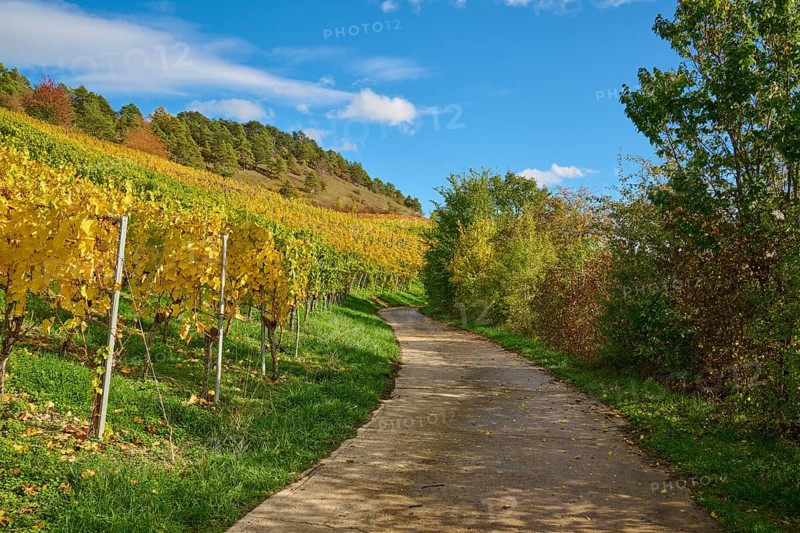 Path