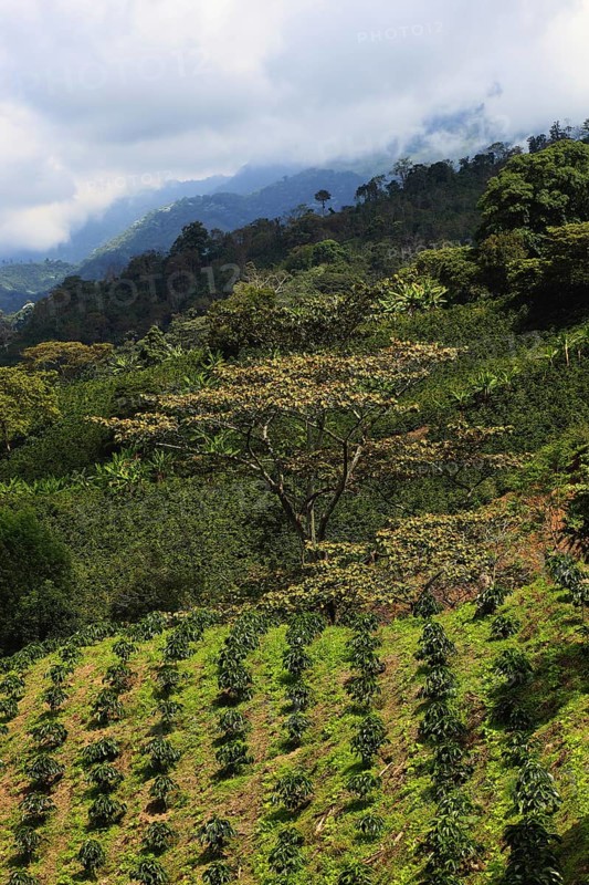 Republic of Colombia