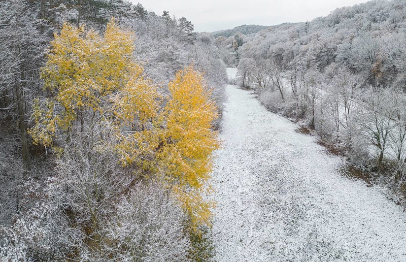 Aerial view of yellow deciduous tree in snowy landscape near St.Veit