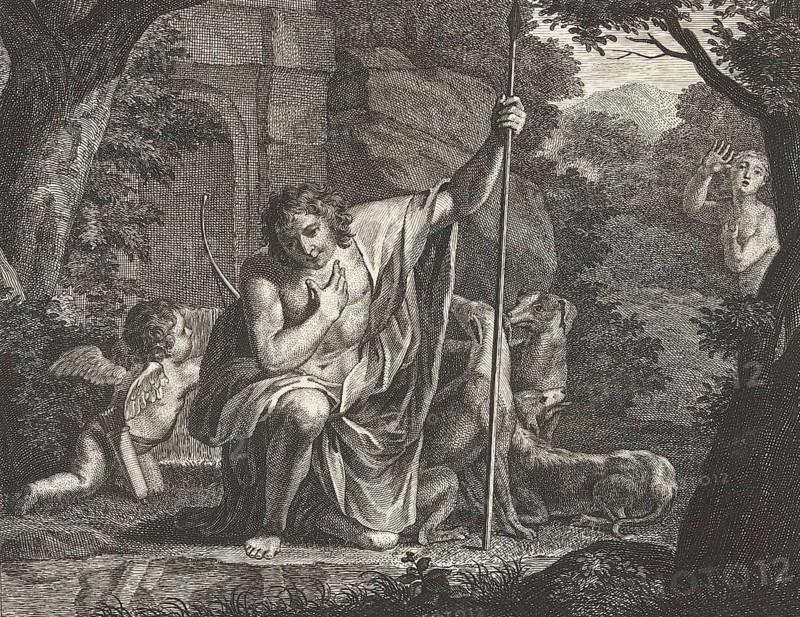 Narcissus contemplating his reflection in the water