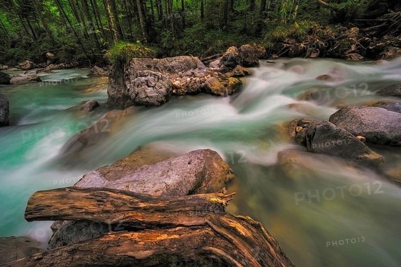Ramsauer Ache in the Magic Forest