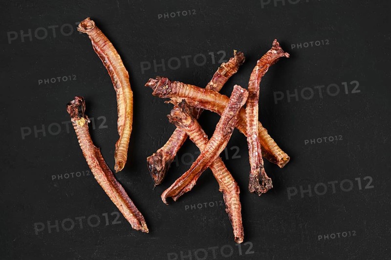 Top view of natural dried treats for dogs. Dried trachea for rewarding dogs