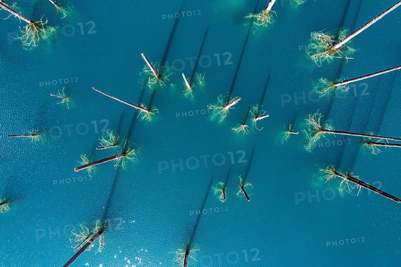 Aerial of the Kaindy lake with its dead trees