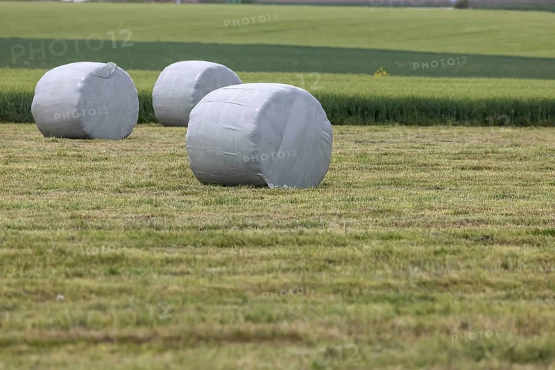 Hay bales in plastic