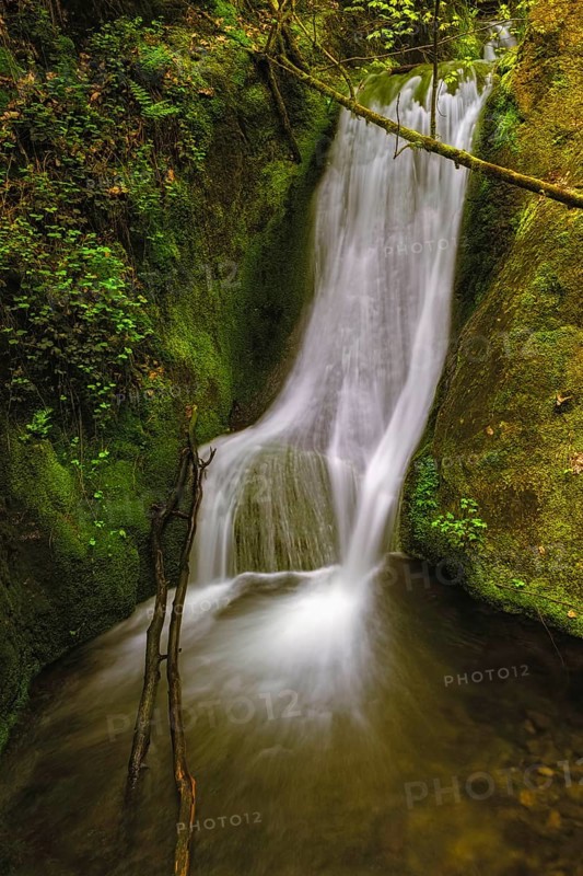 Edelfrauengrab waterfall of the Gottschlag stream in the Black Forest National Park near Ottenhoefen