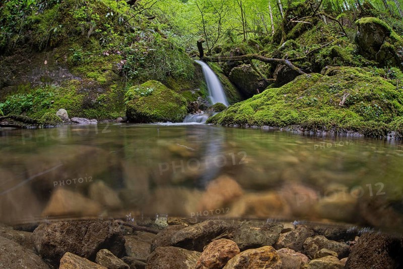 Underwater photograph of a waterfall in the UNESCO World Heritage Beech Forest in the Limestone Alps National Park