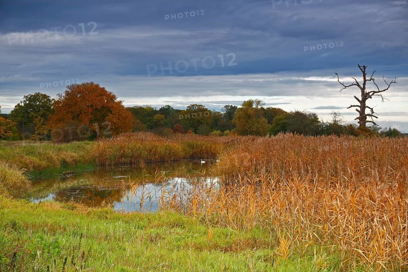 Autumn in the floodplain
