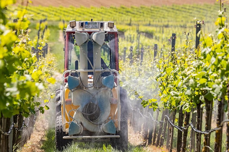 Tractor in vineyard spraying pesticide