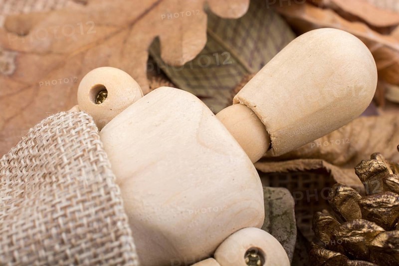 Wooden dolls posing amid autumn background