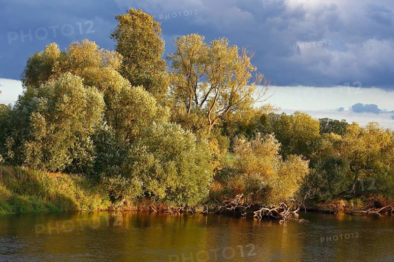 Autumn in the floodplain