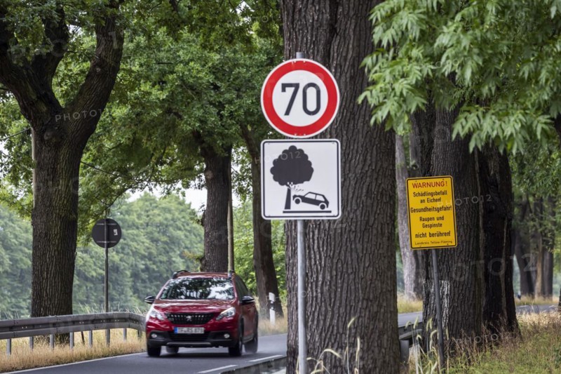 Warning sign for tree accident