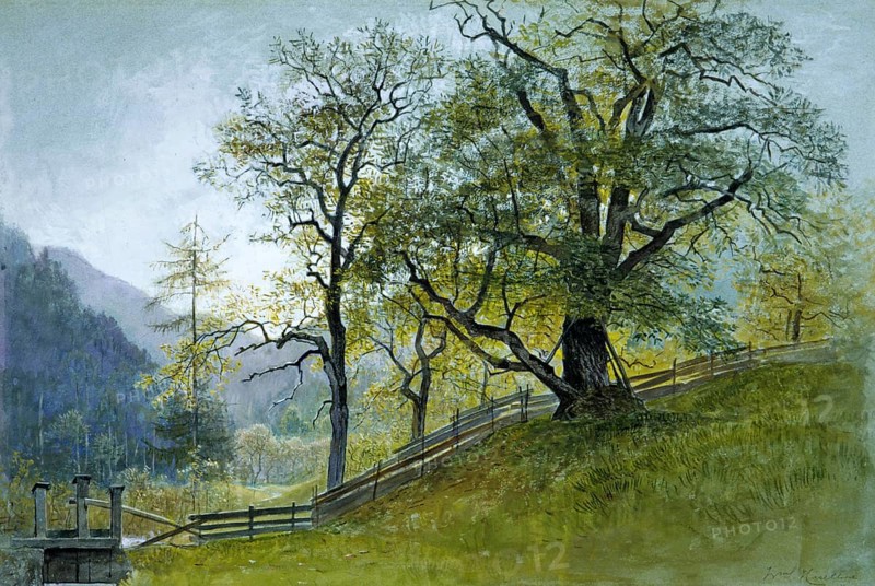 Vahrn in Tyrol