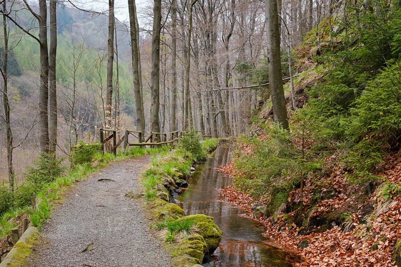 Path through the Radau Valley