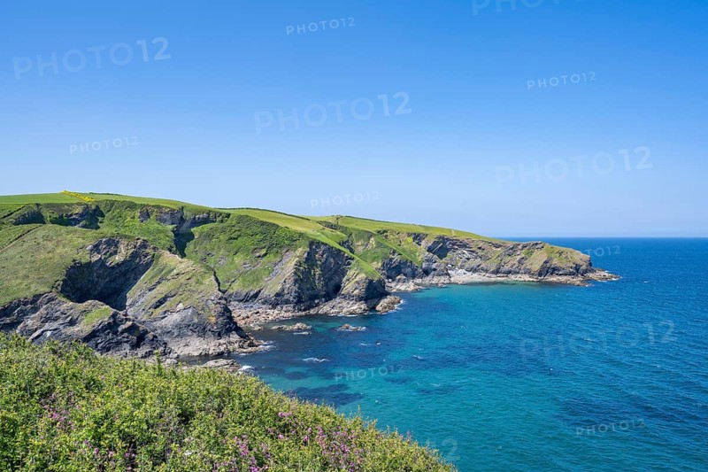 Rugged coastline near Port Isaac