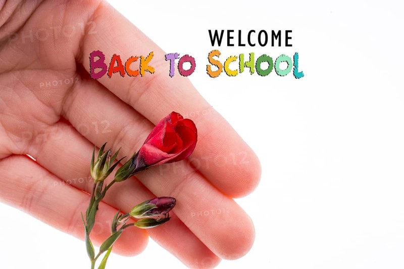 Back to school wording as education