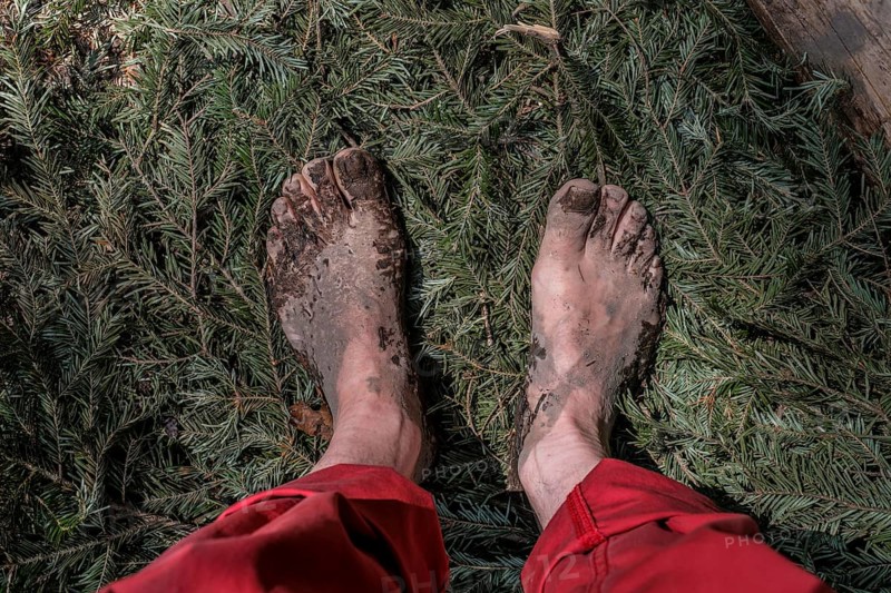 Feet of a man on fir branches on the Wuppenau barefoot path on the Nollen