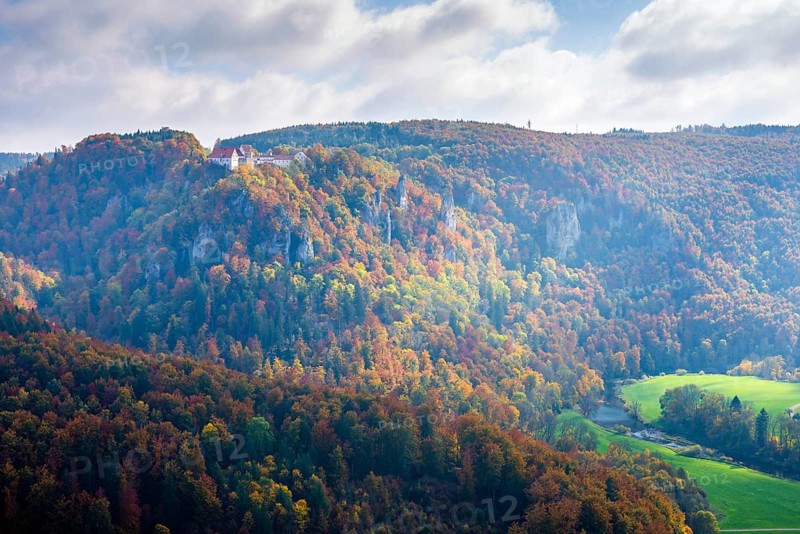 Wildenstein Castle