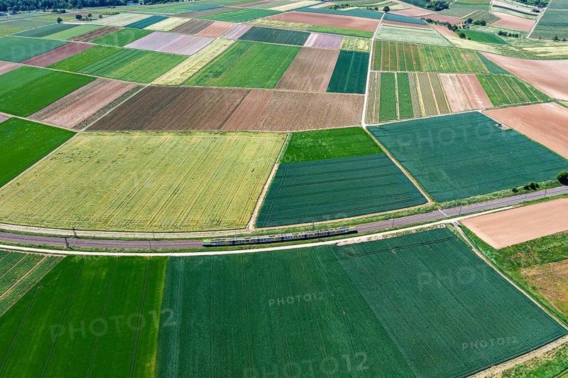 Landscape at the Neckar loop