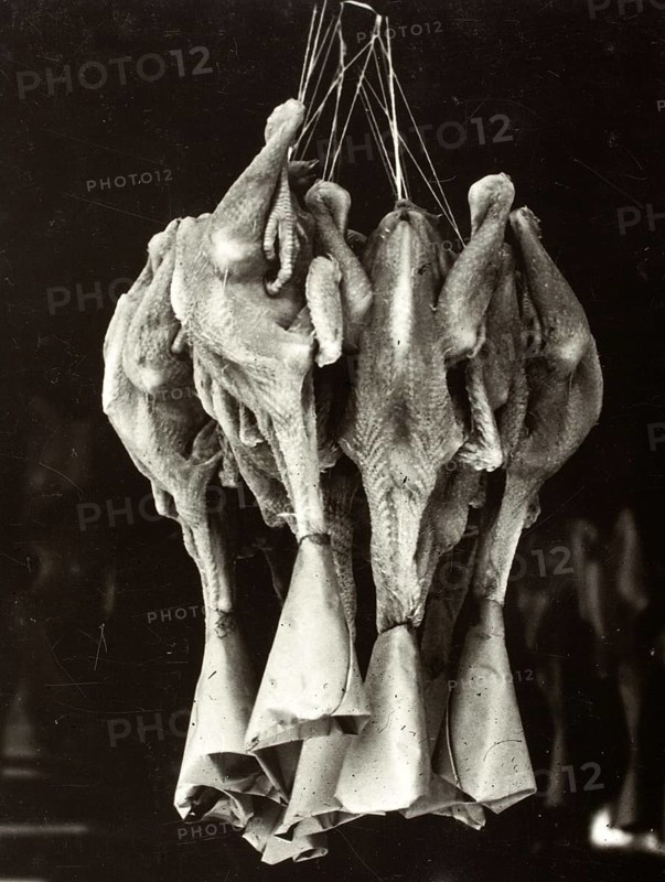 Slaughtered ducks hanging in a Chinese restaurant in New York