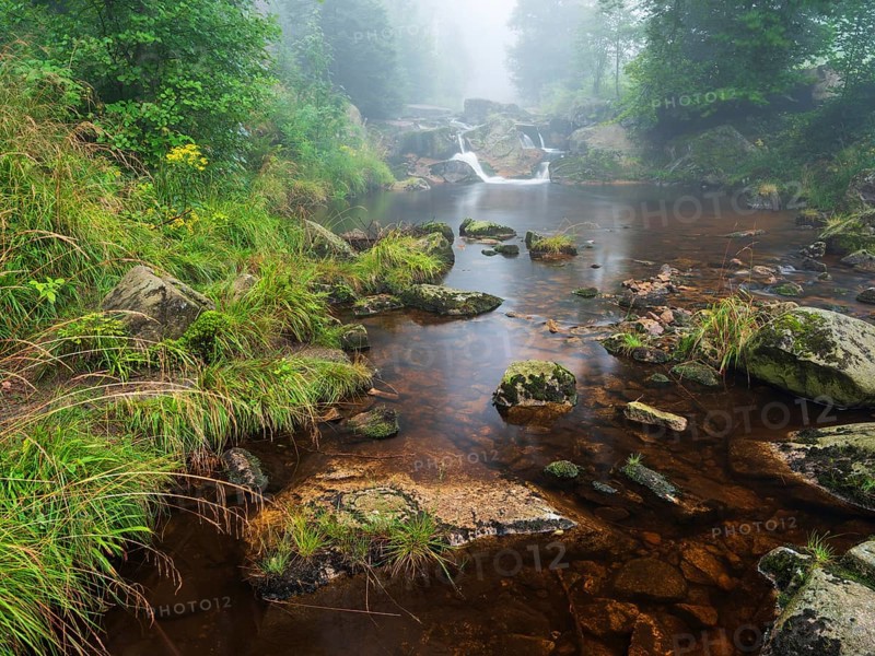 The Ilse stream in the Ilse valley