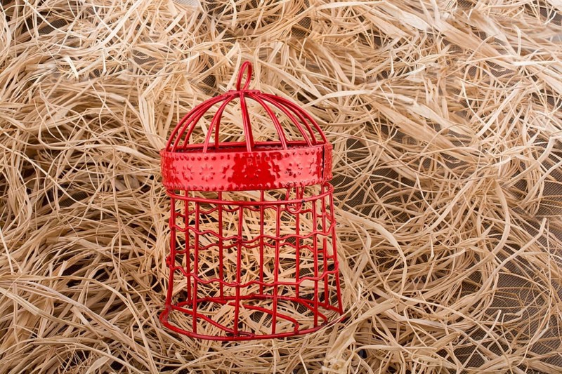 Red color bird cage placed on a straw background
