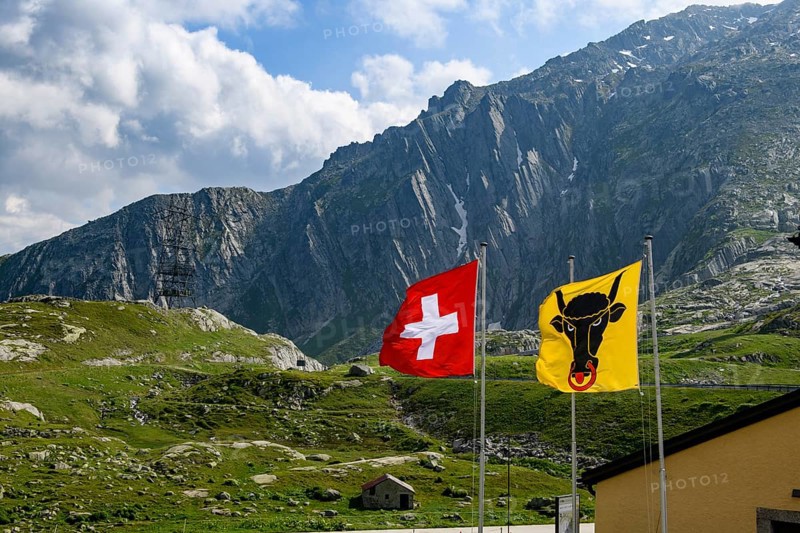 Left Swiss national flag National flag with Swiss cross Right flag Flag of Canton Uri with bull's head Head of bull with nose ring