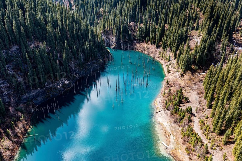 Aerial of the Kaindy lake with its dead trees
