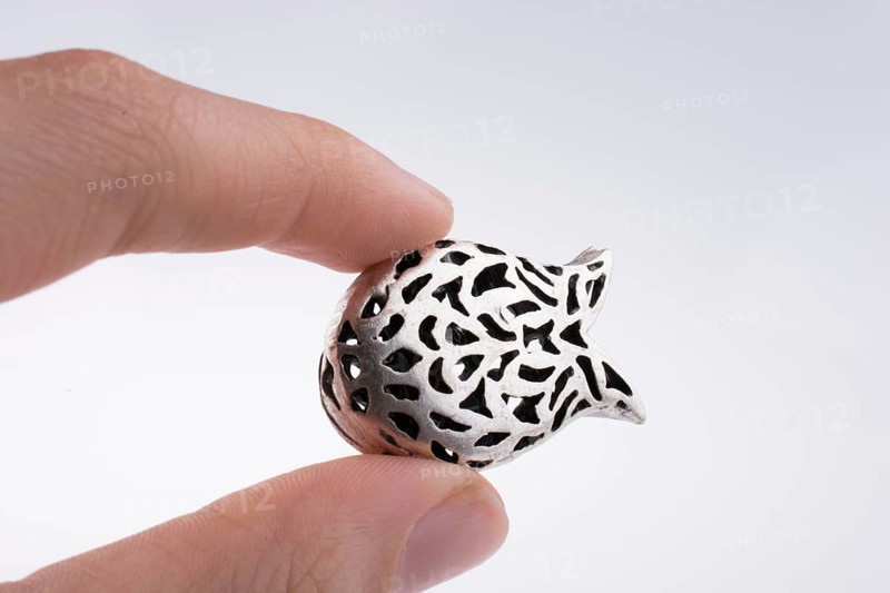 Hand holding a tulip model on a white background