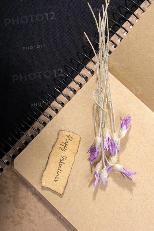 Flower and Valentine's day wording on torn paper Love concept
