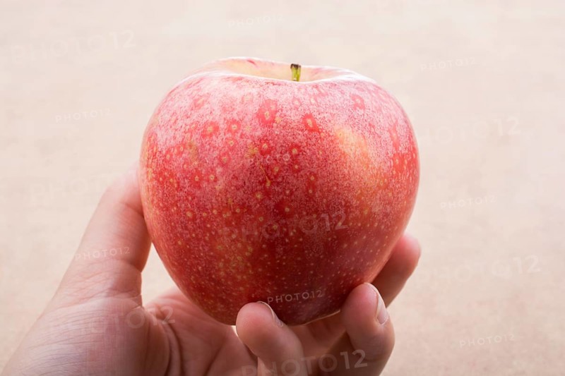 Back to school theme with a red apple