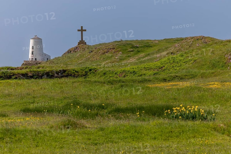 Goleudy TÅµr Mawr Lighthouse