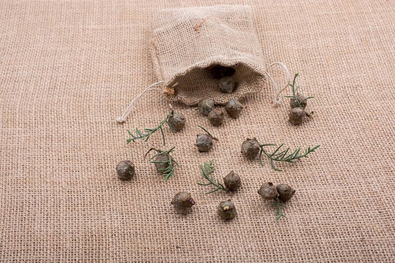 Plant pods