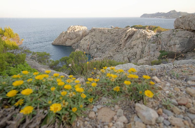 Cala Ratjada
