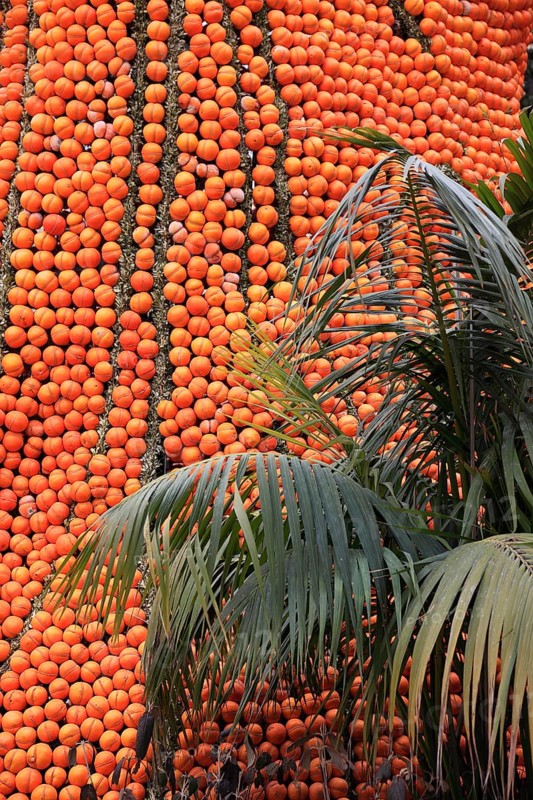 Oranges