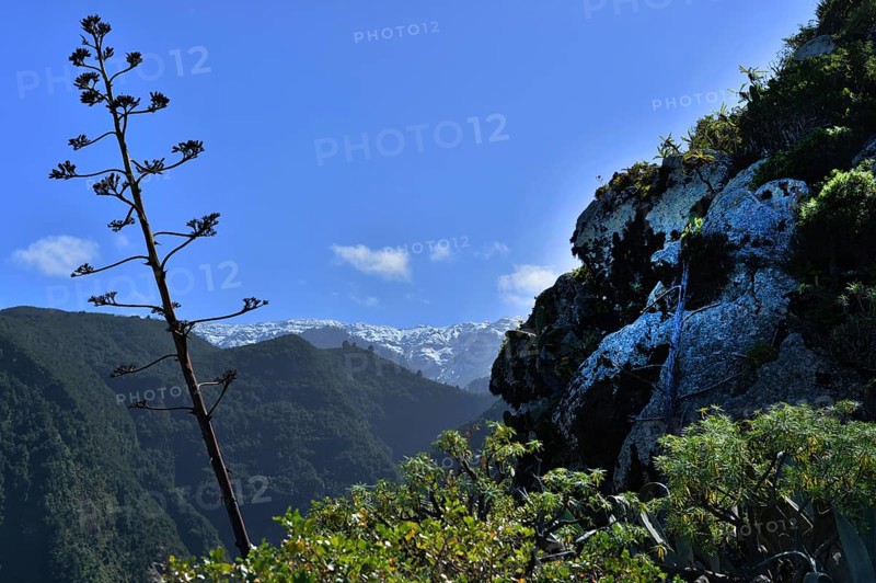 Like all Canary Islands