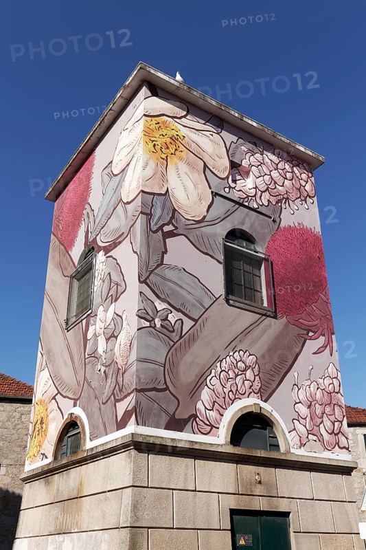 Transformer house painted with flower and plant motifs